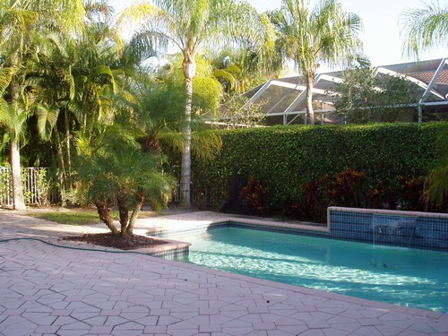 pool